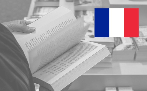 2021 rok jednym z najlepszych dla francuskich wydawców i księgarzy