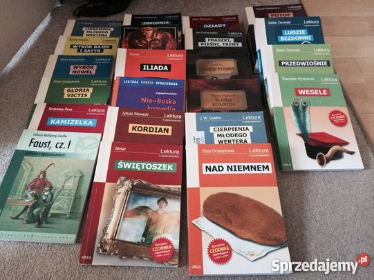 Konieczność omawiania „Potopu” upokarza nauczycieli. Potrzebny otwarty kanon lektur