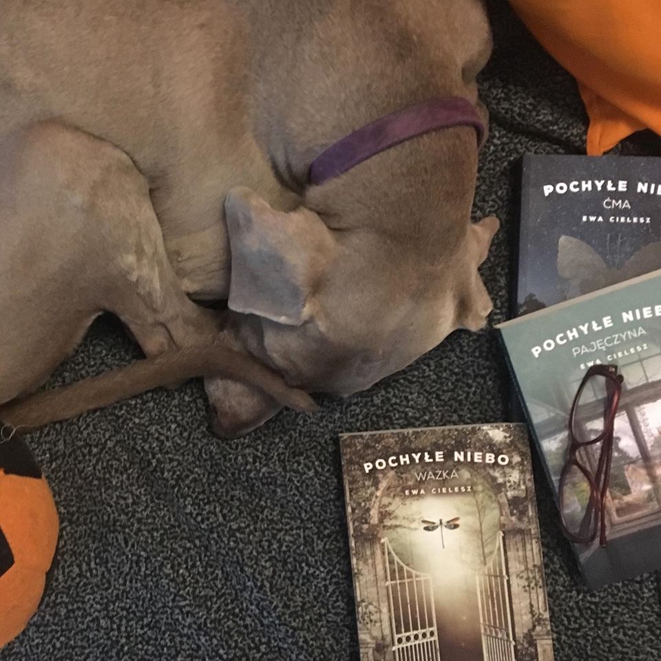 Konkurs z "Ważką", trzecią częścią cyklu Pochyłe niebo Ewy Cielesz 