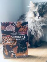 Nowość Rebisu: Sekretne życie kotów
