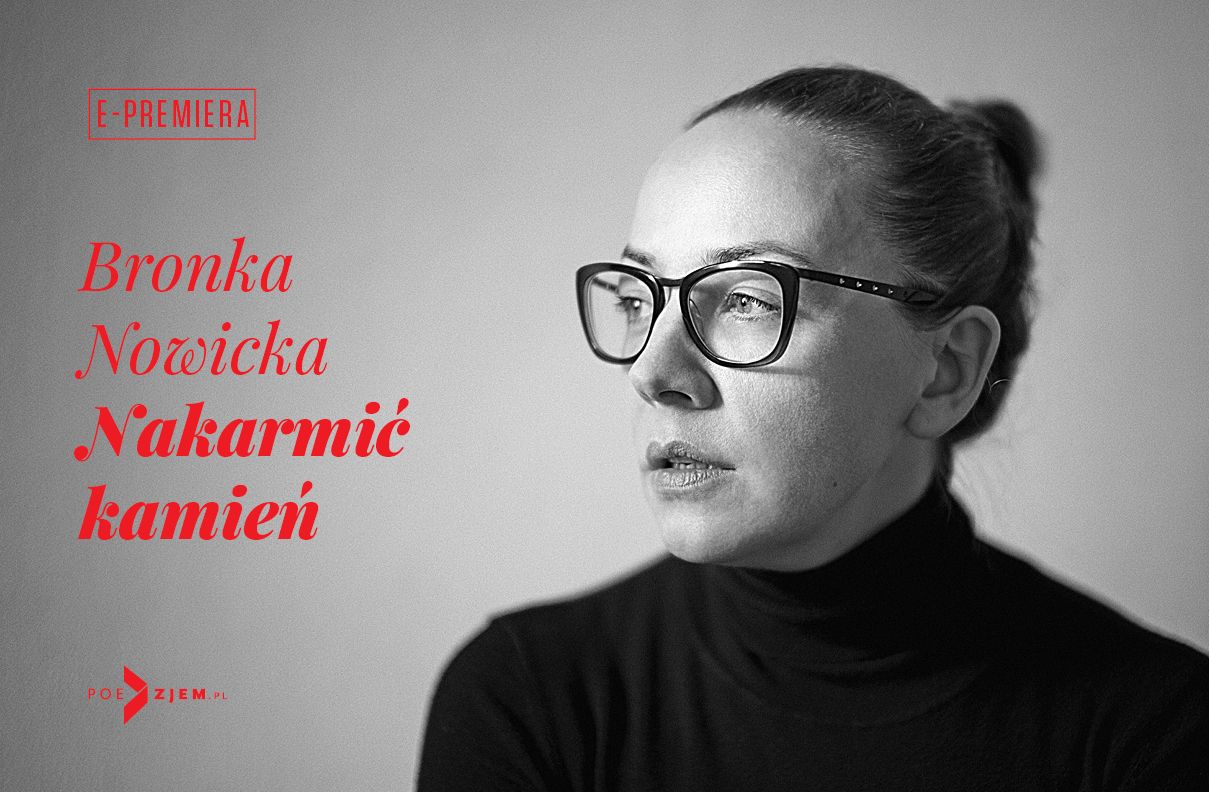 "Nakarmić kamień", Bronka Nowicka