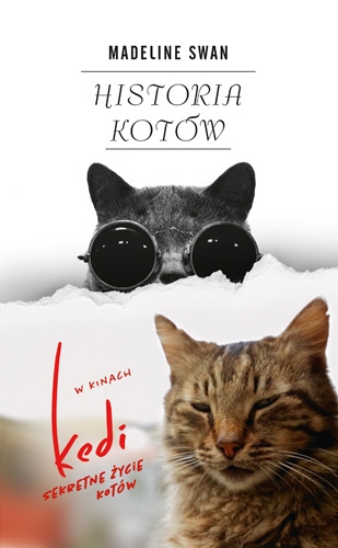 "Historia kotów", Madeleine Swan