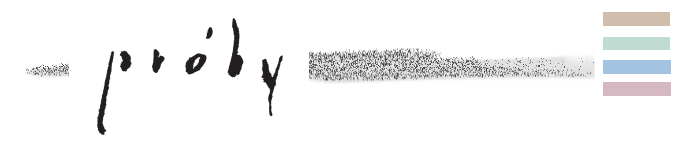 Próby nr. 30 - Migawki do portretu. Wojenne dzienniki Józefa Czapskiego