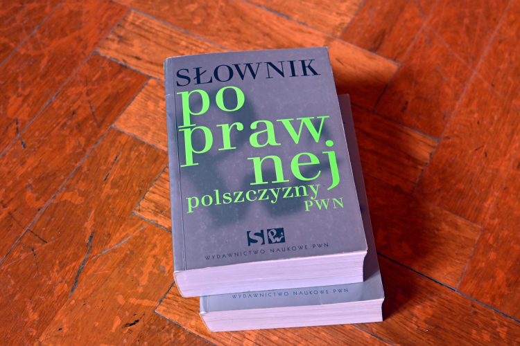 Prof. Bralczyk: dajmy językowi się rozwijać, ale nie głośmy chwały feminatywów