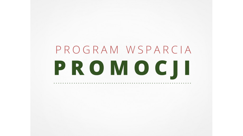 Program Wsparcia Promocji Instytutu Literatury