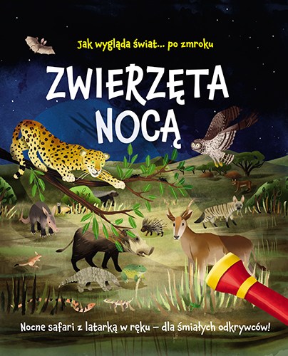 Wydawnictwo Jedność poleca:   Zwierzęta nocą