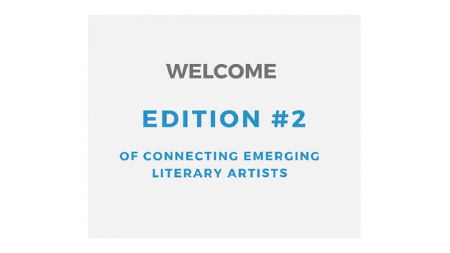 Wyniki naboru do programu CELA