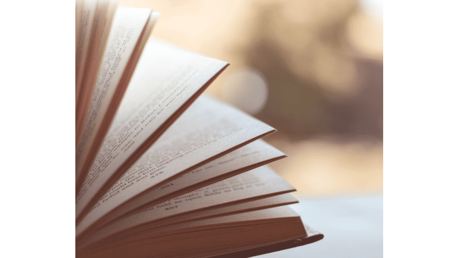 Wyniki naboru do programu „Literatura” 2020