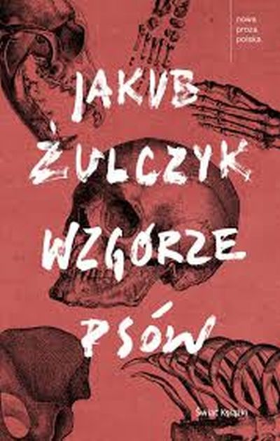 "Wzgórze psów", Jakub Żulczyk